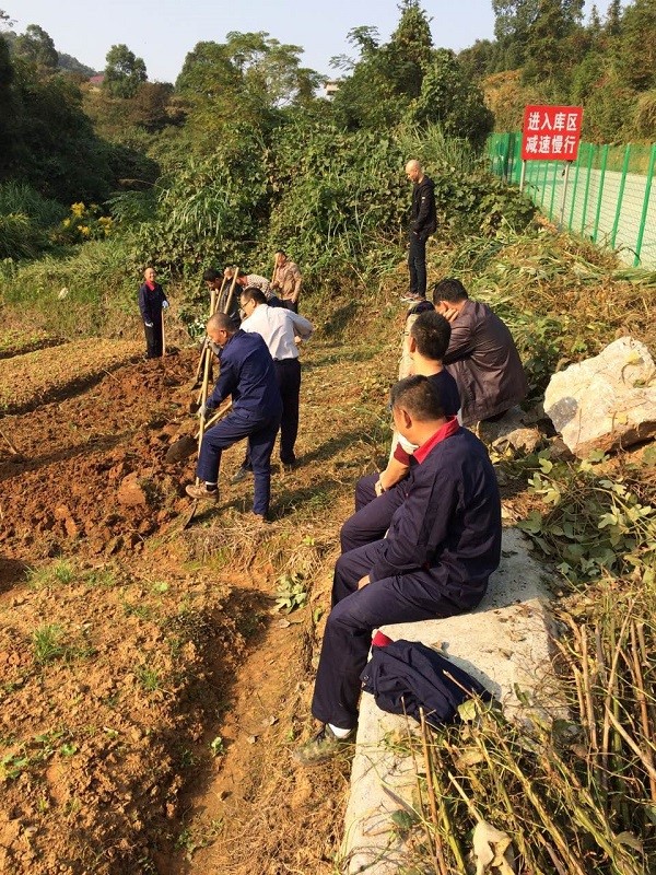 自耕自種，豐富職工業(yè)余生活