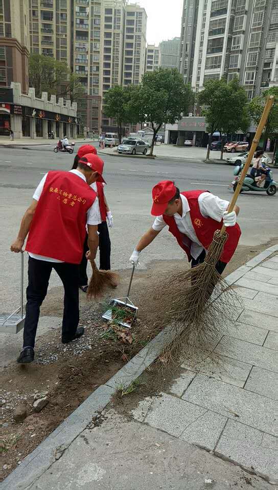 開展文明創(chuàng)建志愿活動，助力環(huán)境整治百日攻堅“凈化”行動